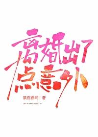 离婚出了点意外讲的什么