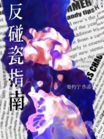 碰瓷分析