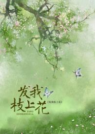 发我枝上花1v1古言