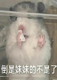 她太甜 最新章节 无弹窗