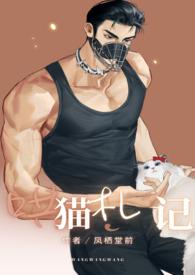 哄猫咪的方法