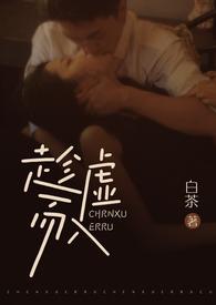 趁虚而入(公媳H)白茶 著