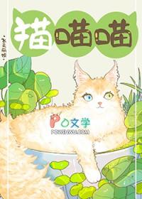 捡到只流浪猫怎么办