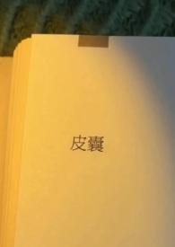 皮囊全文