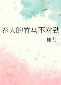 竹马养成小蛮妃