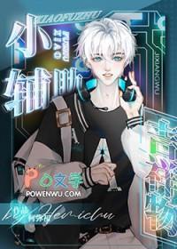 辅助小辅是什么
