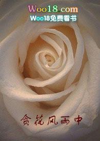 贪花风雨中全章节免费阅读