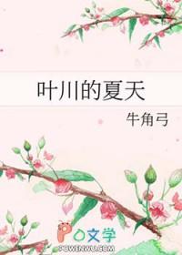 叶川的夏天by简介