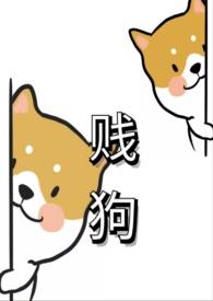 贱狗什么意思