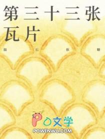第三十三张瓦片TXT免费最新章节