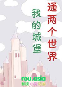 我的世界20×20城堡
