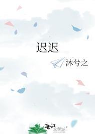 迟迟归