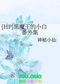 hp黑魔王的王子