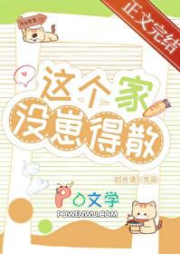 电视剧这个家不能没有你全集故事梗概