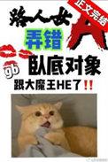 路人女a弄错卧底对象了类别穿越作者 苟戈里
