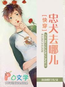 忠犬108种方式