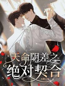 天命阴差之绝对契合的梗有哪些