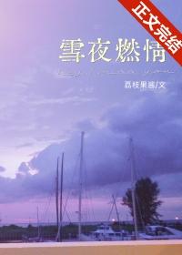 雪夜燃情免费阅读