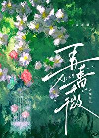 弄蔷薇讲了什么