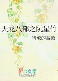 新版天龙八部 阮星竹
