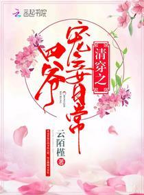 清穿之四爷宠妾日常好看吗