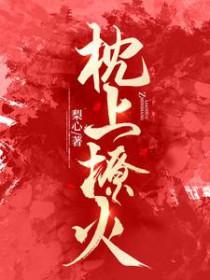 枕上撩火在线阅读