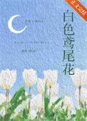 白色鸢尾花图片唯美