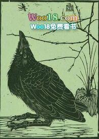 空客320座位图选座