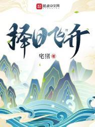 择日飞升的境界划分