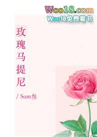 玫瑰马提尼txt阅读