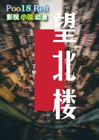 望北楼叶世文是谁的儿子