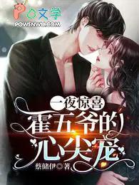 一夜情深霍少