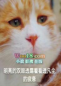 未婚先孕违法吗