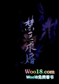 禁区全文免费阅读完结