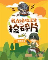 我在绝地求生捡碎片加料版本百度