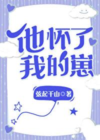 他怀了我的孩子 白澈