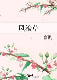 风滚草的图片