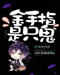 金手指2021讲的是