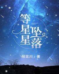 等星星坠落txt盘