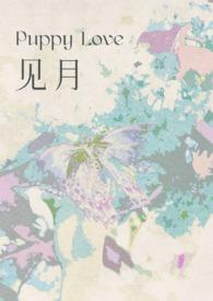 见月 小西饼