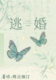 逃婚之后免费阅读