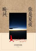 夏夜晚风这首歌的含义