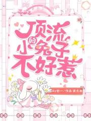 顶流作者不好惹txt