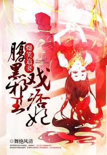 爆笑王妃邪王宠妻无度