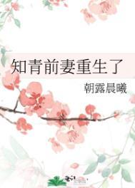 知青前妻重生了玲溪