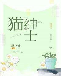 绅士猫图片