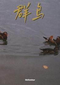 群鸟飞翔