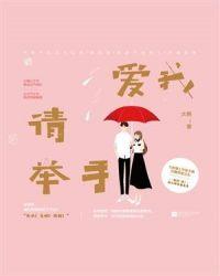 爱我请举手DJ