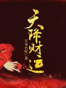 天降财运阅读