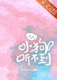 小狗听不到txt笔趣阁无删减